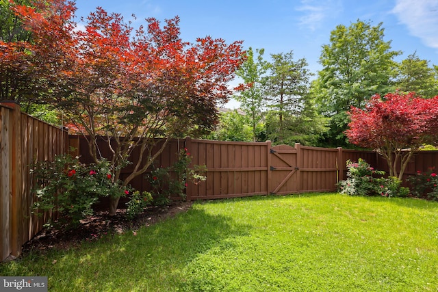 23462 Twin Falls Ter, Ashburn, VA 20148 - view of yard featuring a gate