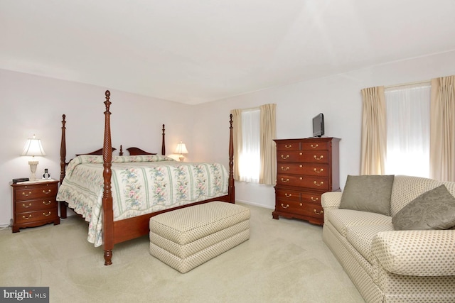 2 W Cartwright Dr, Princeton Junction, NJ 08550 - bedroom with carpet flooring, multiple windows, and baseboards