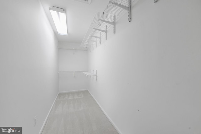 walk in closet with carpet flooring