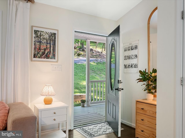 439 Windy Way, Front Royal, VA 22630 - entrance foyer with dark wood-style floors