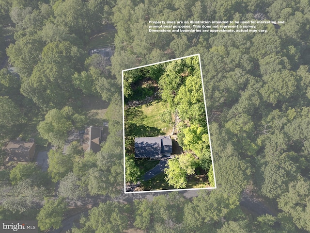 439 Windy Way, Front Royal, VA 22630 - aerial view of property and surrounding area featuring property boundaries highlighted and a heavily wooded area