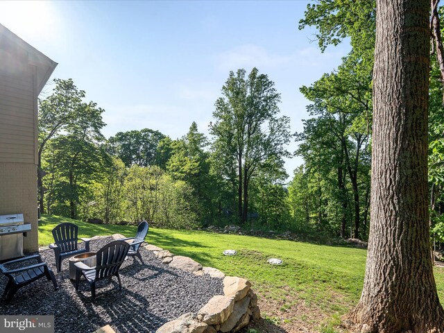 439 Windy Way, Front Royal, VA 22630 - view of green lawn with a fire pit and a patio