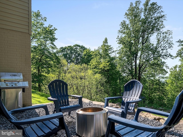 439 Windy Way, Front Royal, VA 22630 - view of patio / terrace featuring an outdoor fire pit and area for grilling