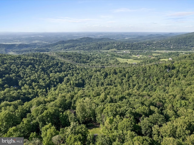 439 Windy Way, Front Royal, VA 22630 - drone / aerial view of a forest
