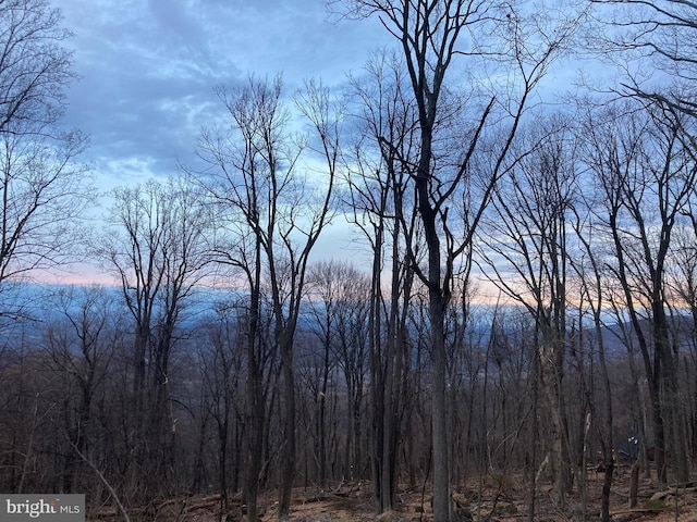 439 Windy Way, Front Royal, VA 22630 - mountain view