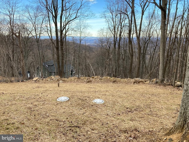 439 Windy Way, Front Royal, VA 22630 - view of yard