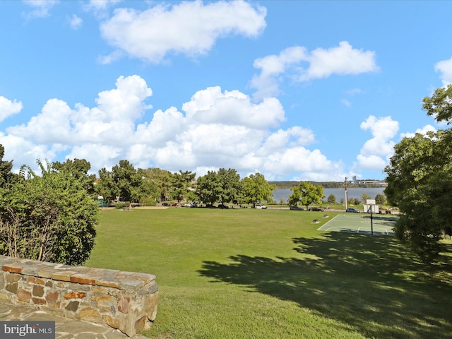 1604 Hunting Creek Dr Unit B, Alexandria, VA 22314 - view of grassy yard