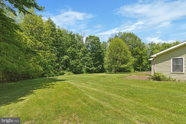 3789 Stump Rd, Doylestown, PA 18902 - view of green lawn