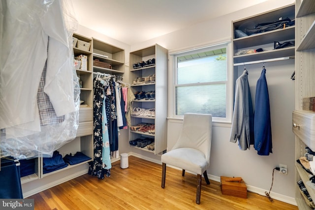 5101 Ampthill Dr, Alexandria, VA 22312 - spacious closet with wood finished floors