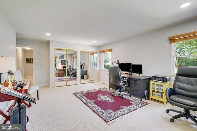 5101 Ampthill Dr, Alexandria, VA 22312 - carpeted office featuring plenty of natural light, recessed lighting, french doors, and baseboards