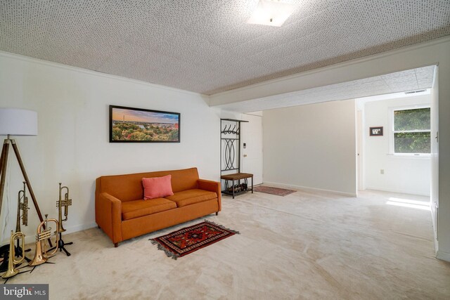 5101 Ampthill Dr, Alexandria, VA 22312 - carpeted living room with crown molding and baseboards