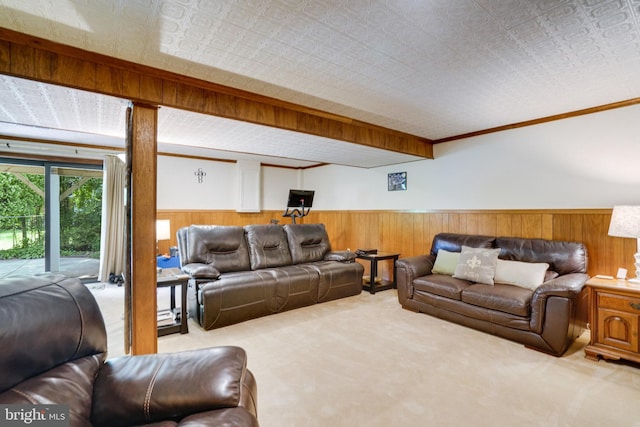 5101 Ampthill Dr, Alexandria, VA 22312 - carpeted living room featuring wooden walls, a wainscoted wall, and an ornate ceiling
