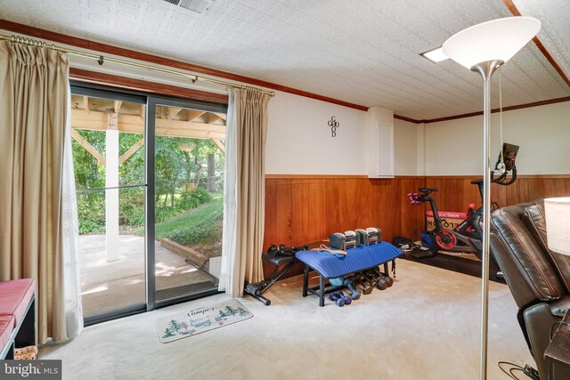 5101 Ampthill Dr, Alexandria, VA 22312 - recreation room with wainscoting, carpet flooring, and wooden walls