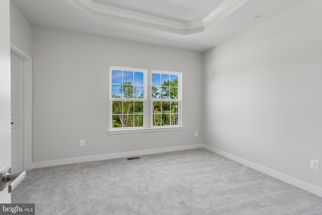 14 Chesapeake Ln Unit C, La Plata, MD 20646 - unfurnished bedroom with a raised ceiling, carpet floors, and baseboards