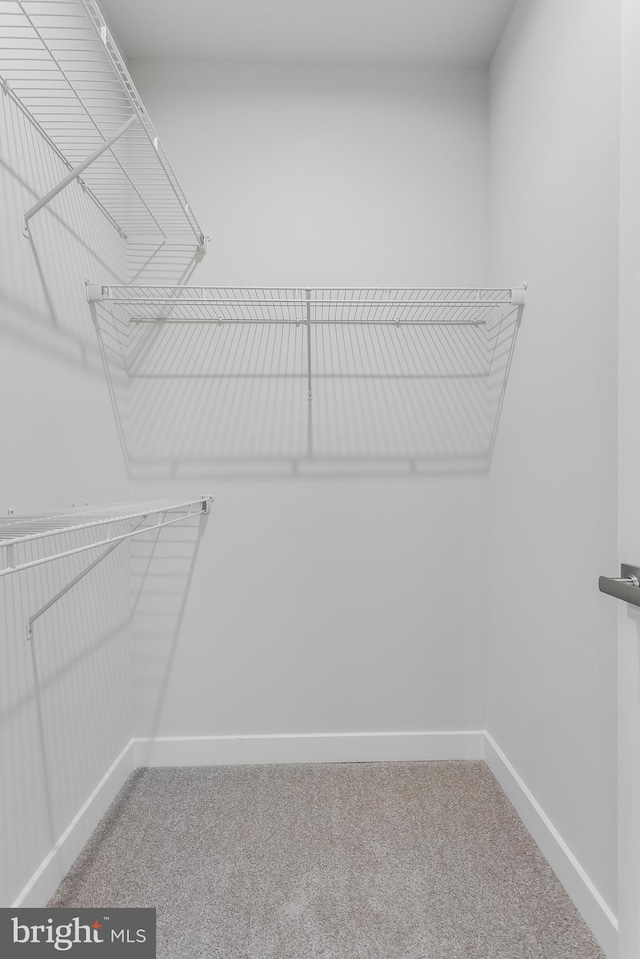 14 Chesapeake Ln Unit C, La Plata, MD 20646 - walk in closet featuring carpet flooring