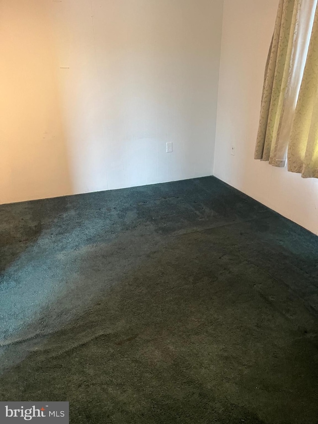 313 Northfield Ave, Waynesboro, PA 17268 - spare room with dark carpet
