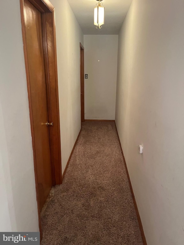 313 Northfield Ave, Waynesboro, PA 17268 - hallway featuring light carpet and baseboards