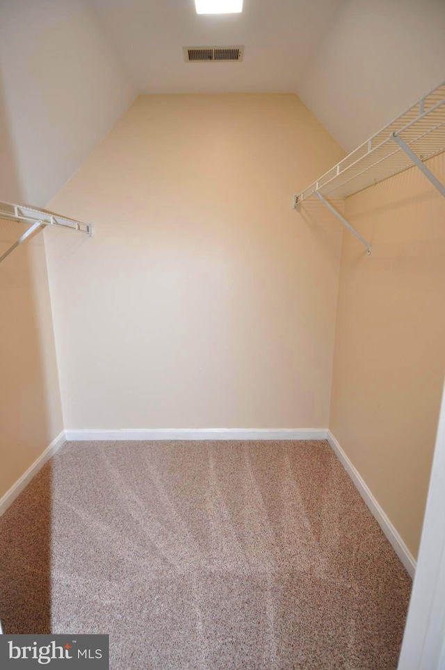 walk in closet featuring carpet floors and lofted ceiling