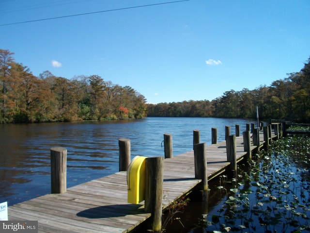 dock with a wooded view and a water view