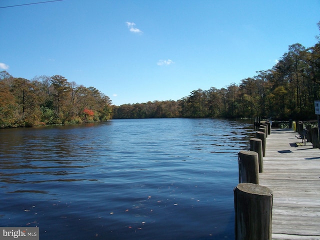 dock area featuring a water view and a forest view