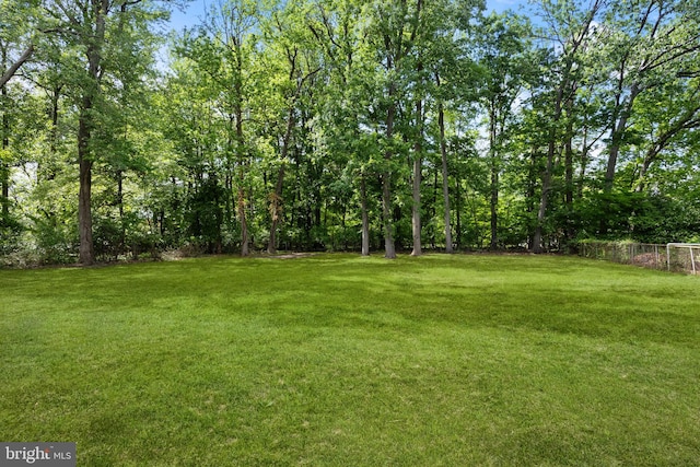 2564 Forrest Ave, Bensalem, PA 19020 - view of yard