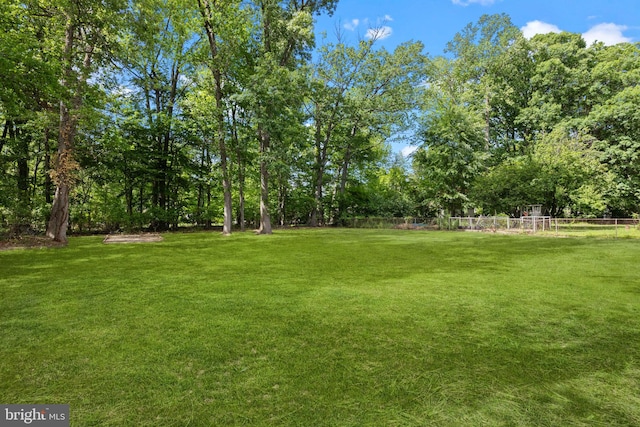 2564 Forrest Ave, Bensalem, PA 19020 - view of yard