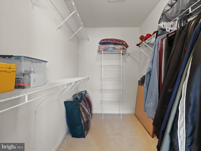 5204 Spanish Dollar Ct, Woodbridge, VA 22193 - spacious closet with light colored carpet