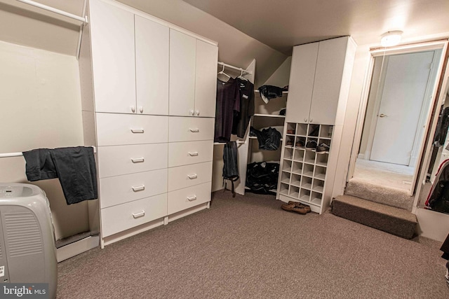 14365 Salsbury Ct, Woodbridge, VA 22193 - spacious closet featuring dark carpet