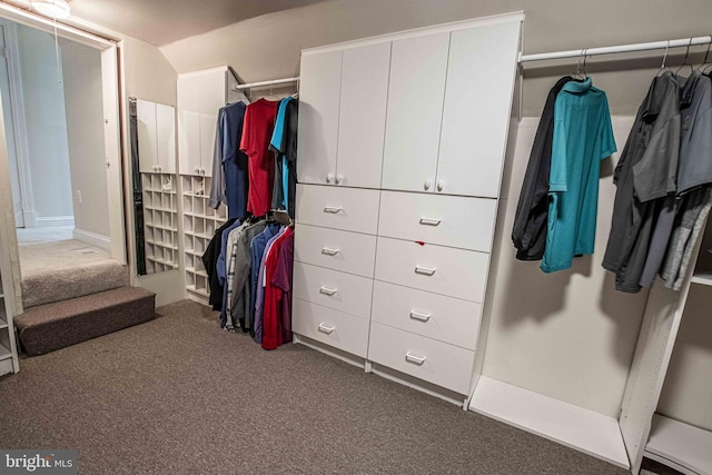 14365 Salsbury Ct, Woodbridge, VA 22193 - spacious closet with carpet