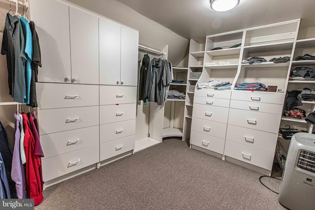 14365 Salsbury Ct, Woodbridge, VA 22193 - spacious closet featuring carpet