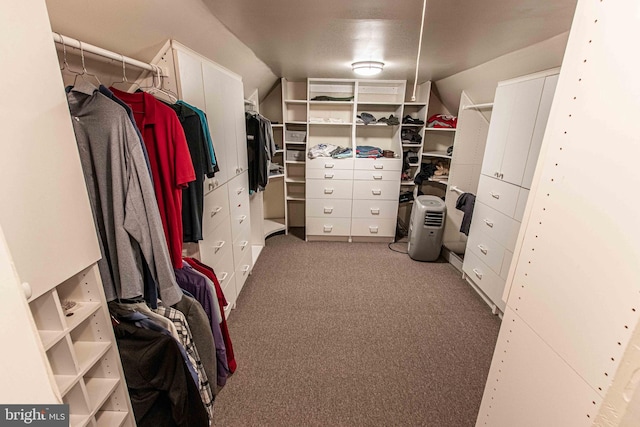 14365 Salsbury Ct, Woodbridge, VA 22193 - spacious closet featuring carpet and vaulted ceiling