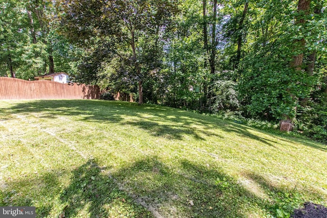 14365 Salsbury Ct, Woodbridge, VA 22193 - view of yard