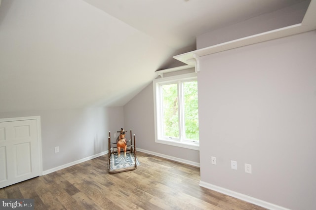5470 Moose Lodge Rd, Cambridge, MD 21613 - bonus room featuring vaulted ceiling and wood finished floors