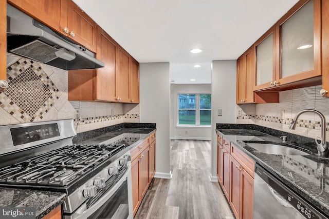 73 Doe Ct, Monmouth Junction, NJ 08852 - kitchen featuring appliances with stainless steel finishes, a sink, under cabinet range hood, light wood-style flooring, and dark stone counters
