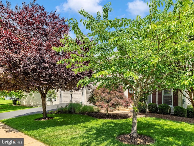 6470 Saddlebrook Ln, Frederick, MD 21701 - view of property hidden behind natural elements featuring a front lawn, driveway, and a garage