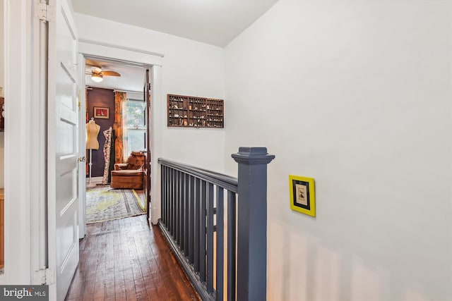 1132 Roland Heights Ave, Baltimore, MD 21211 - hall with dark wood-style floors