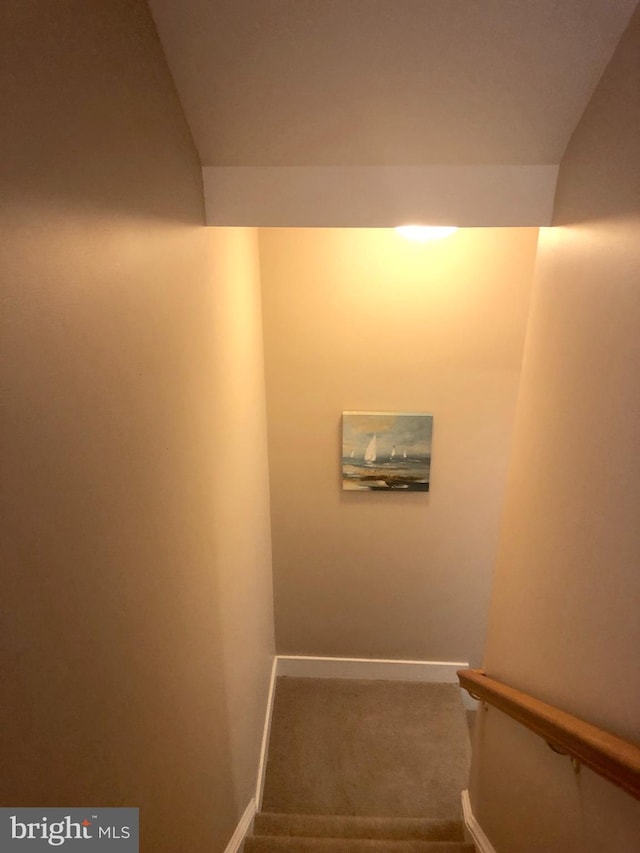 staircase featuring baseboards and carpet floors