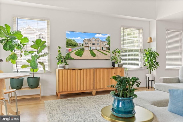 20387 Birchmere Ter, Ashburn, VA 20147 - living area with wood finished floors and healthy amount of natural light
