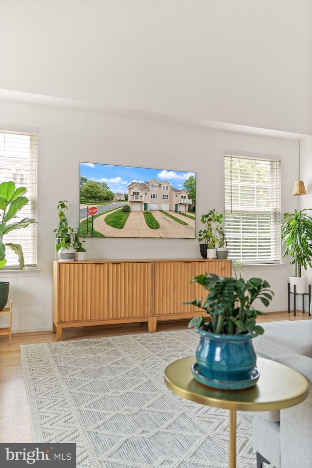 20387 Birchmere Ter, Ashburn, VA 20147 - living room featuring healthy amount of natural light and light wood finished floors