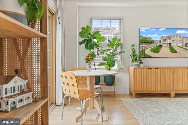 20387 Birchmere Ter, Ashburn, VA 20147 - sitting room with light wood-type flooring and radiator