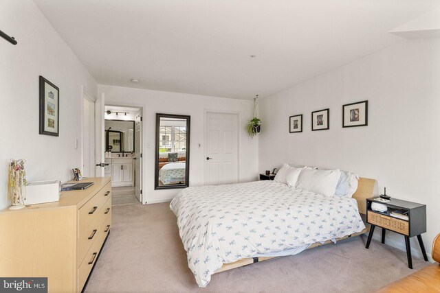 20387 Birchmere Ter, Ashburn, VA 20147 - bedroom with light carpet and connected bathroom