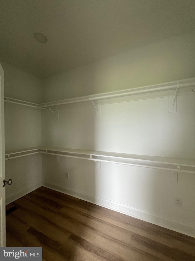 607 Slonaker Ln, Martinsburg, WV 25405 - walk in closet with dark wood-style flooring