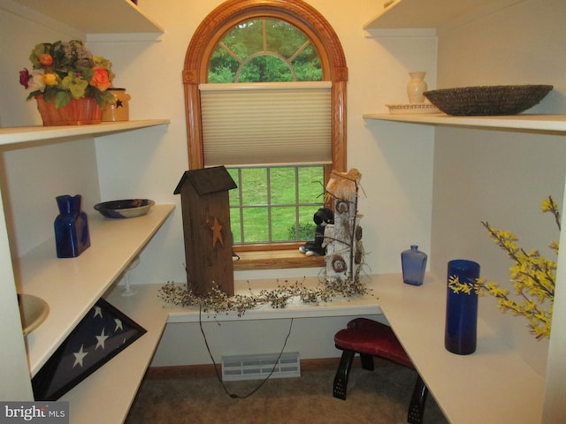 151 Juniper Dr, Ridgeley, WV 26753 - detailed view of carpet floors
