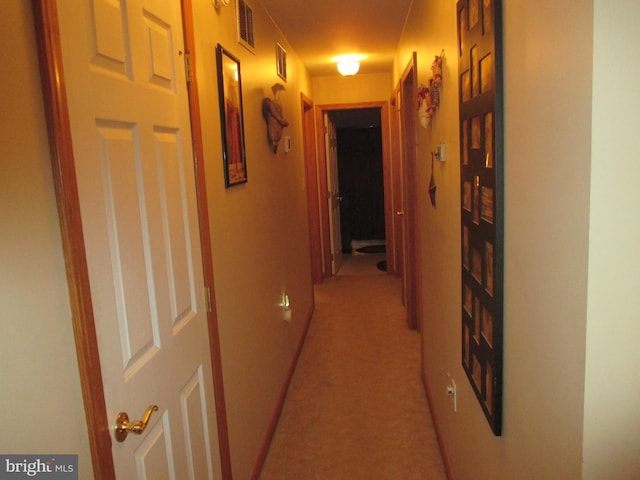 151 Juniper Dr, Ridgeley, WV 26753 - corridor featuring light colored carpet
