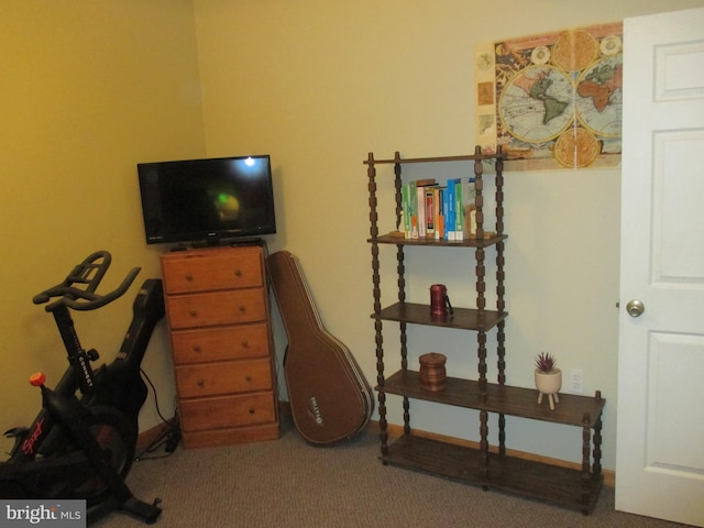 151 Juniper Dr, Ridgeley, WV 26753 - workout area featuring carpet