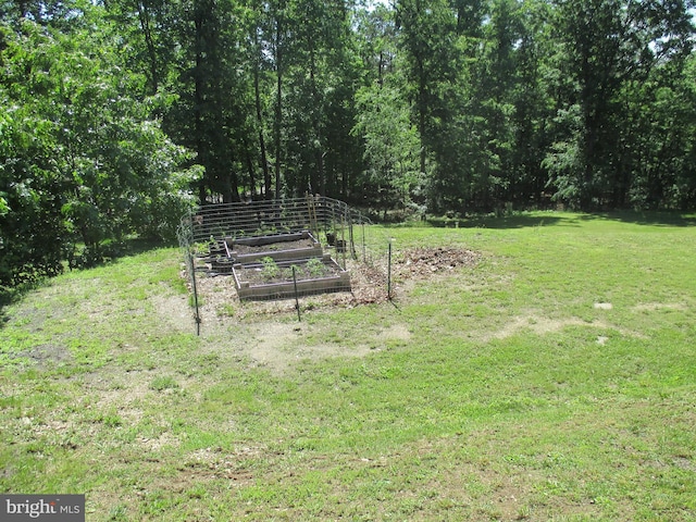 151 Juniper Dr, Ridgeley, WV 26753 - view of green lawn with a vegetable garden and a view of trees