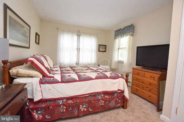715 Susquehanna Cir, Newark, DE 19711 - bedroom featuring carpet and baseboard heating