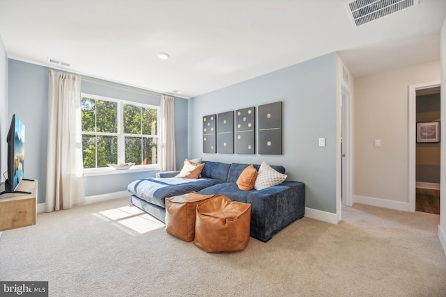 116 Munsee Cir, Winchester, VA 22602 - carpeted living area with baseboards