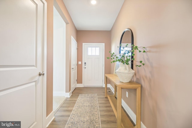 116 Munsee Cir, Winchester, VA 22602 - doorway with baseboards and light wood-style flooring
