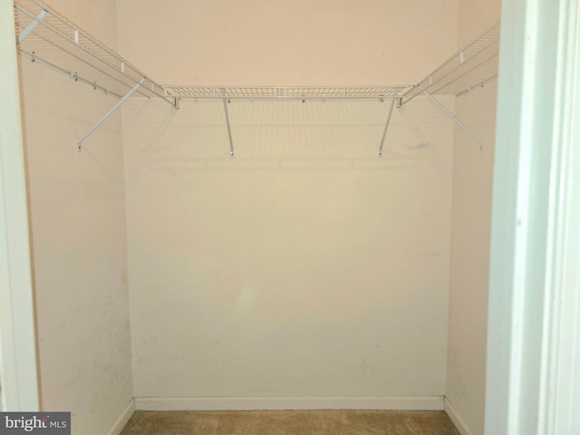 10 Honeyflower, Bordentown, NJ 08620 - walk in closet featuring light colored carpet